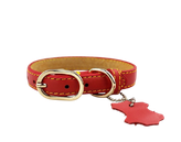 Dog Collars