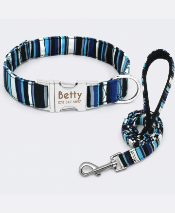 Personalized Engraved Dog Collar - restyled product photo 1