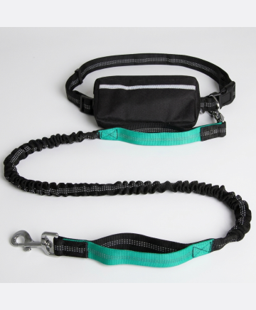 Hands-Free Reflective Dog Leash - restyled product photo 1