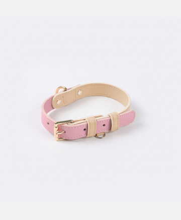 Leather Dog Leash & Collar - restyled product photo 1