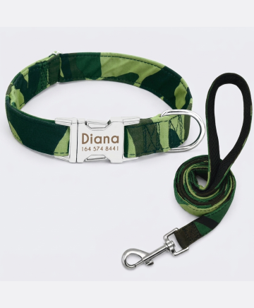 Personalized Engraved Dog Collar - restyled product photo 2