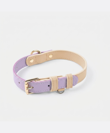 Leather Dog Leash & Collar - restyled product photo 2